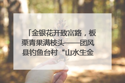 金银花开致富路，板栗青果满枝头——团风县钓鱼台村“山水生金”谱写共富新篇章