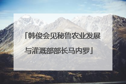 韩俊会见秘鲁农业发展与灌溉部部长马内罗