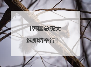 韩国总统大选即将举行