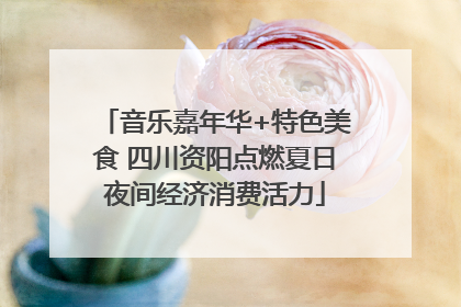 音乐嘉年华+特色美食 四川资阳点燃夏日夜间经济消费活力