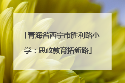 青海省西宁市胜利路小学：思政教育拓新路