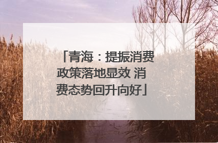 青海：提振消费政策落地显效 消费态势回升向好