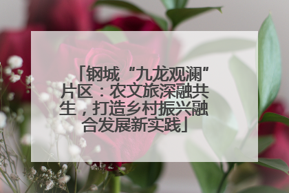 钢城“九龙观澜”片区：农文旅深融共生，打造乡村振兴融合发展新实践