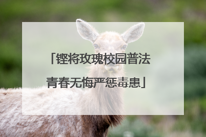 铿将玫瑰校园普法 青春无悔严惩毒患