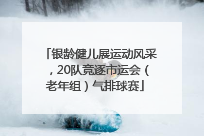 银龄健儿展运动风采，20队竞逐市运会（老年组）气排球赛