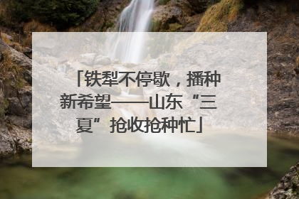 铁犁不停歇，播种新希望——山东“三夏”抢收抢种忙