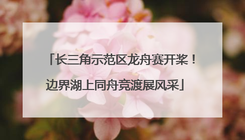 长三角示范区龙舟赛开桨！边界湖上同舟竞渡展风采