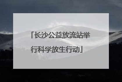 长沙公益放流站举行科学放生行动