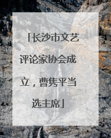 长沙市文艺评论家协会成立，曹隽平当选主席