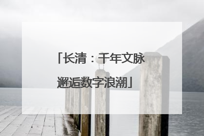 长清：千年文脉邂逅数字浪潮