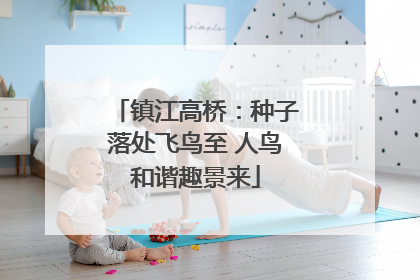 镇江高桥：种子落处飞鸟至 人鸟和谐趣景来
