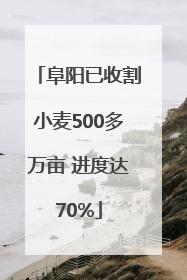 阜阳已收割小麦500多万亩 进度达70%