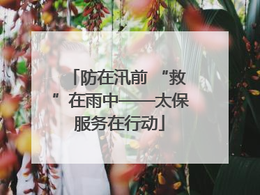 防在汛前 “救”在雨中——太保服务在行动