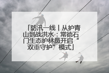 防汛一线丨从护青山到战洪水：常德石门生态护林员开启“双重守护”模式