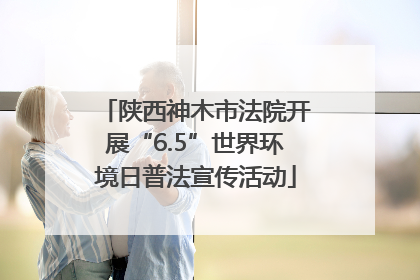 陕西神木市法院开展“6.5”世界环境日普法宣传活动