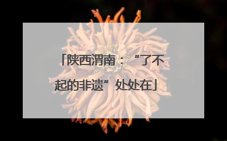 陕西渭南：“了不起的非遗”处处在