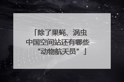 除了果蝇、涡虫 中国空间站还有哪些“动物航天员”