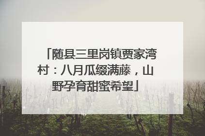 随县三里岗镇贾家湾村：八月瓜缀满藤，山野孕育甜蜜希望