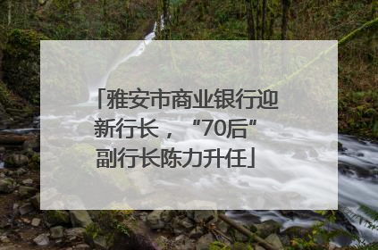 雅安市商业银行迎新行长，“70后”副行长陈力升任