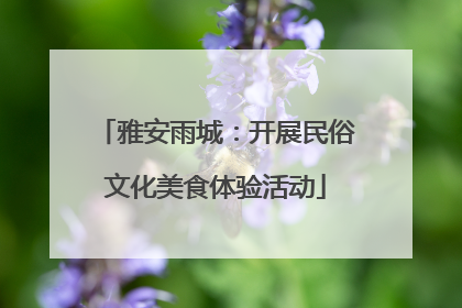 雅安雨城：开展民俗文化美食体验活动