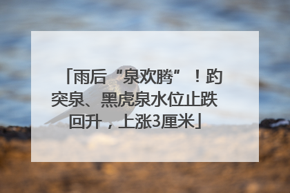 雨后“泉欢腾”！趵突泉、黑虎泉水位止跌回升，上涨3厘米