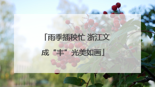 雨季插秧忙 浙江文成“丰”光美如画