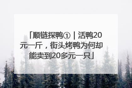 顺链探鸭①｜活鸭20元一斤，街头烤鸭为何却能卖到20多元一只