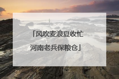 风吹麦浪夏收忙 河南老兵保粮仓