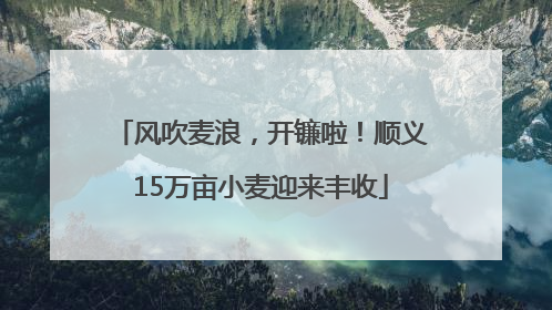 风吹麦浪，开镰啦！顺义15万亩小麦迎来丰收