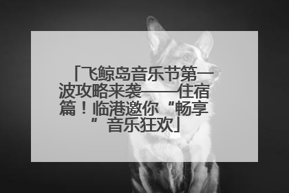 飞鲸岛音乐节第一波攻略来袭——住宿篇！临港邀你“畅享”音乐狂欢