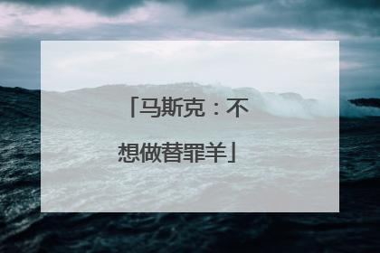 马斯克：不想做替罪羊