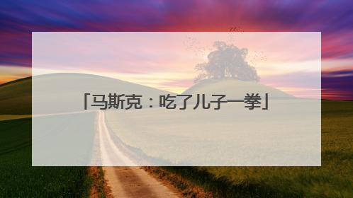 马斯克：吃了儿子一拳