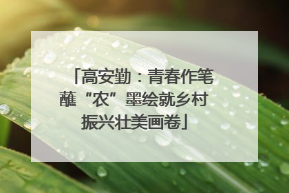 高安勤：青春作笔蘸“农”墨绘就乡村振兴壮美画卷
