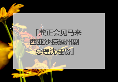 龚正会见马来西亚沙捞越州副总理沈桂贤