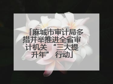 麻城市审计局多措并举推进全省审计机关 “三大提升年” 行动