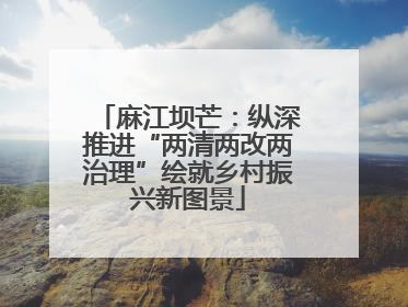 麻江坝芒：纵深推进“两清两改两治理”绘就乡村振兴新图景