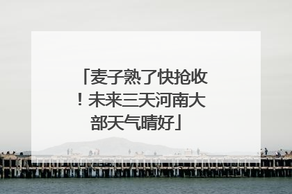 麦子熟了快抢收！未来三天河南大部天气晴好