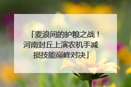 麦浪间的护粮之战！河南封丘上演农机手减损技能巅峰对决