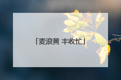 麦浪黄 丰收忙