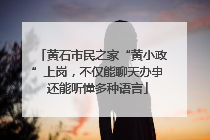 黄石市民之家“黄小政”上岗，不仅能聊天办事还能听懂多种语言