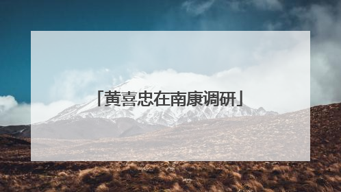 黄喜忠在南康调研