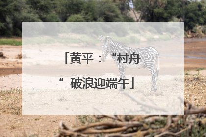 黄平：“村舟”破浪迎端午
