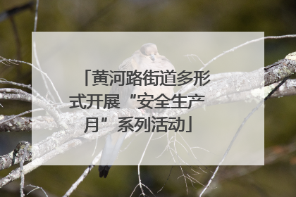 黄河路街道多形式开展“安全生产月”系列活动