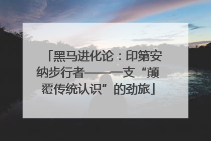 黑马进化论：印第安纳步行者——一支“颠覆传统认识”的劲旅