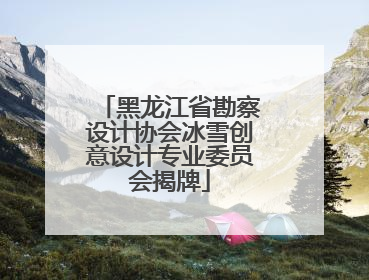 黑龙江省勘察设计协会冰雪创意设计专业委员会揭牌