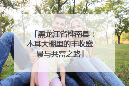 黑龙江省桦南县：木耳大棚里的丰收盛景与共富之路