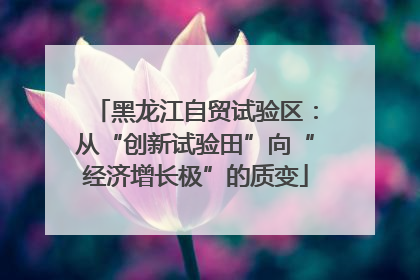 黑龙江自贸试验区：从“创新试验田”向“经济增长极”的质变