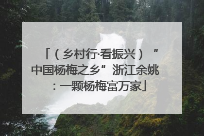 （乡村行·看振兴）“中国杨梅之乡”浙江余姚：一颗杨梅富万家