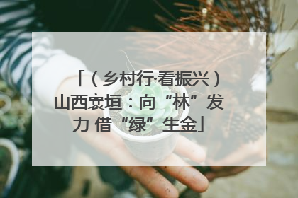 （乡村行·看振兴）山西襄垣：向“林”发力 借“绿”生金