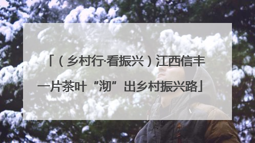 （乡村行·看振兴）江西信丰一片茶叶“沏”出乡村振兴路